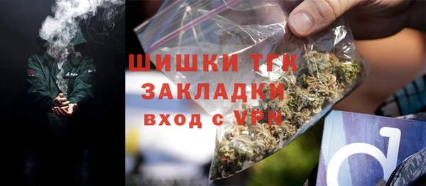 PSILOCYBIN Аркадак