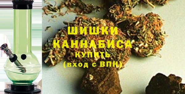 PSILOCYBIN Аркадак