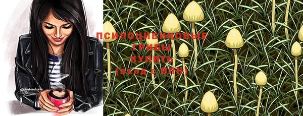 PSILOCYBIN Аркадак