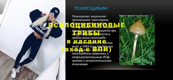 mdpv Арсеньев
